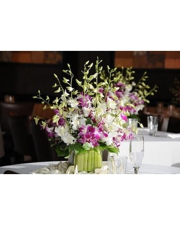 Wedding Reception Decoration