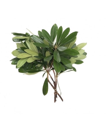 Lucky Leaf Rhododendron Azelia Bouquet Flower Arrangement