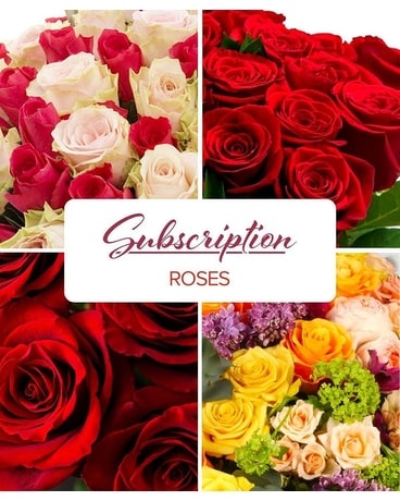 Rose Subscription