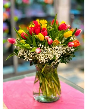 Mixed Tulips
