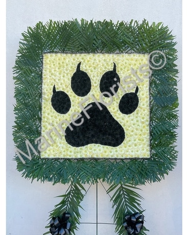 Cat Paw