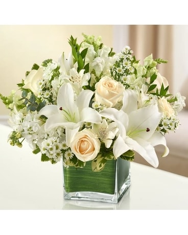 Healing Blooms - All White Flower Arrangement