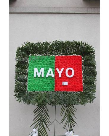 County Mayo Flag (Irish County) Funeral Arrangement