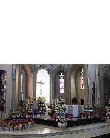 Easter Altar Flowering Plants Decoration