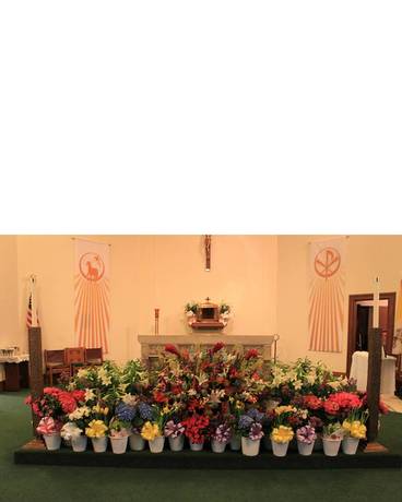 Easter Altar Flowering Plants Decoration