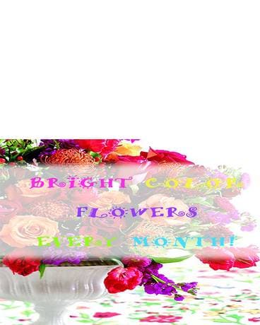 Bright Flowers Every Month! Flower Arrangement