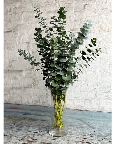The Original Eucalyptus Bundle Plant