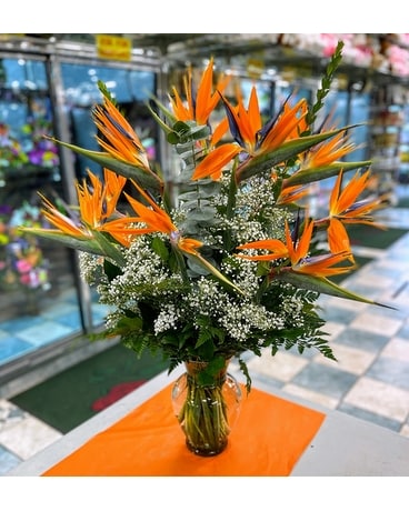 Birds of Paradise Bouquet Flower Arrangement