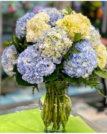 Hooked On Hydrangea Flower Arrangement