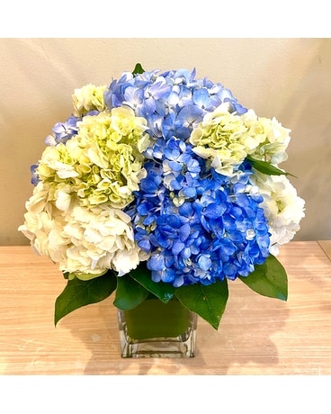 Hydrangea Hues Flower Arrangement
