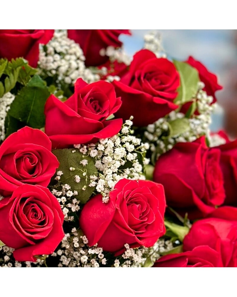 Valentine's Rose Special in Brooklyn NY - Marine Florists