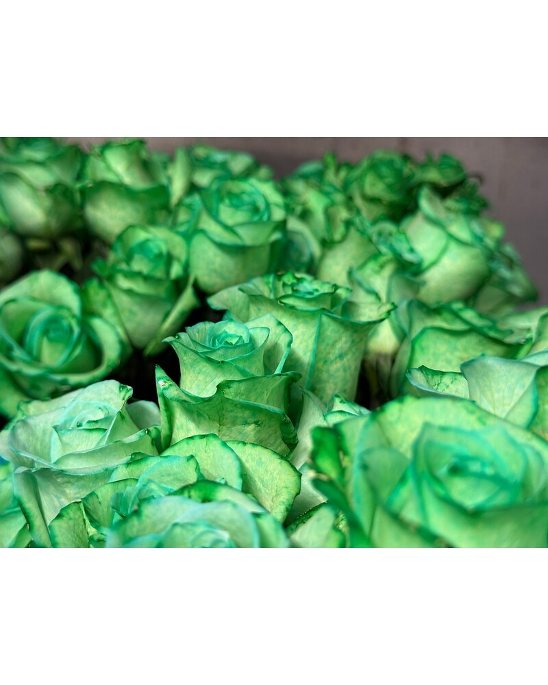 Green Emerald Roses in Brooklyn NY - Marine Florists