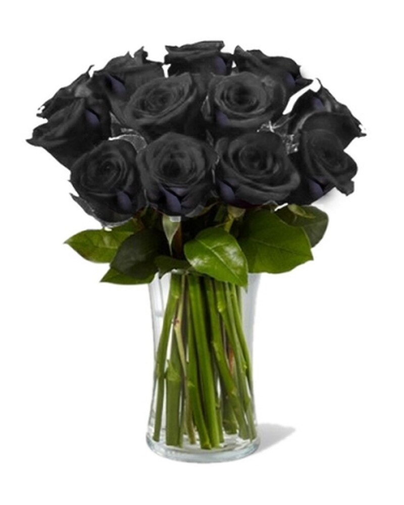 Black roses delivery discount