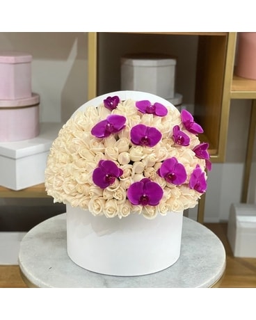 Orchid & Rose Garden Box - Houston Flower Delivery - Fancy