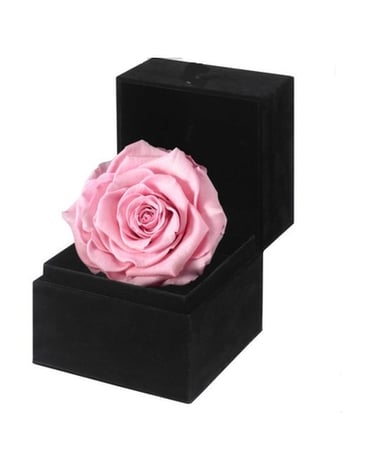 Pink Preserved Rose Flowers