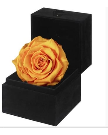 Yellow Preserved Rose Flower Arrangement