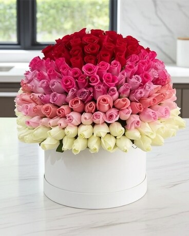 DECORTÉ Eternal Bloom Collection 限定] DECORTE Eternal Bloom Collection 聖誕套裝2025