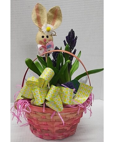 Easter Hyacinth Plant Flower Arrangement