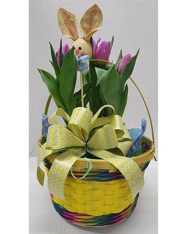 Easter Tulip Plant Flower Arrangement