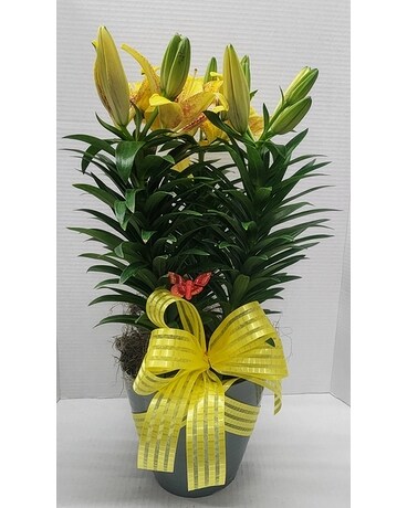 Sweet Lily Flower Arrangement