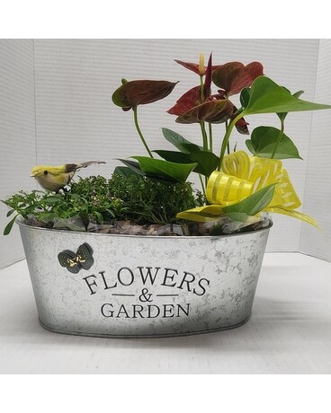 Anthurium Garden Flower Arrangement