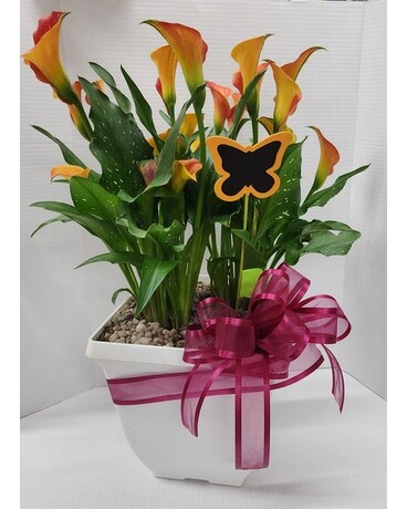 Callas In Love Flower Arrangement