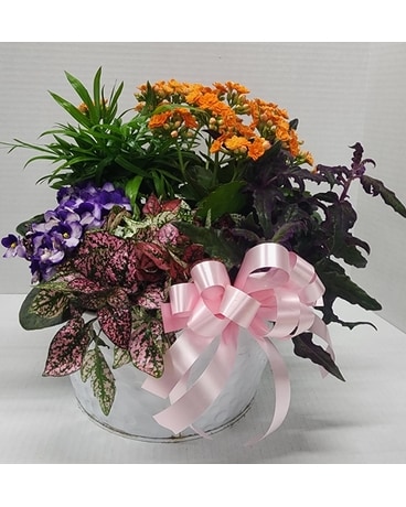 Enchanted Garden Flower Arrangement