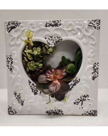 Mini Succulent Garden Flower Arrangement