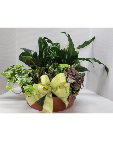 Bountiful DishGarden Flower Arrangement