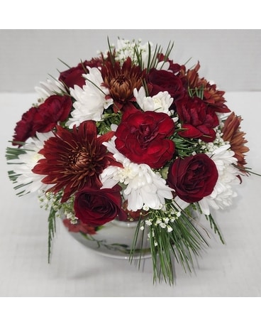 Cardinal Teacup Flower Arrangement