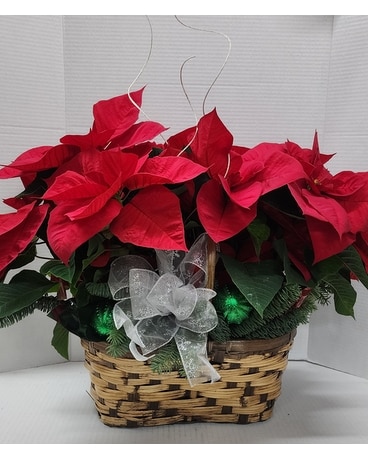 Noche Buena Flower Arrangement