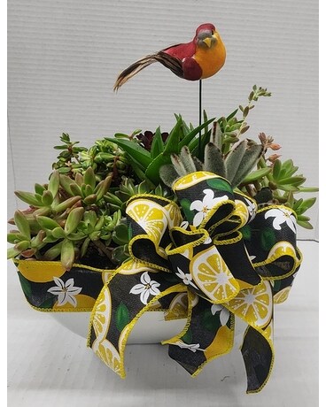 Succulent Splendor Garden Flower Arrangement