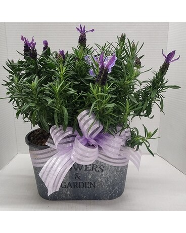 Lavender Love Flower Arrangement