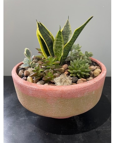 Succulent Garden 1 Flower Arrangement