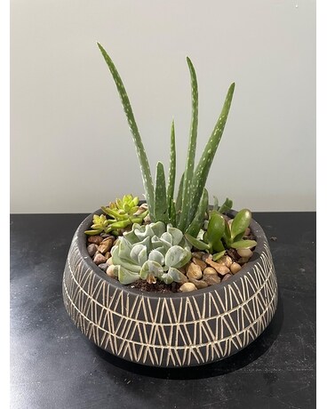 Succulent Garden Flower Arrangement