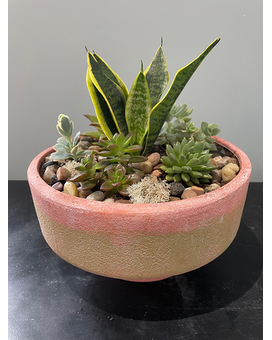 Succulent Garden 1 Flower Arrangement