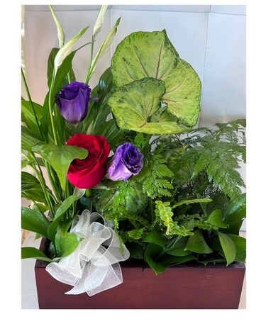 Dish Garden With Fresh Flowers Flower Arrangement
