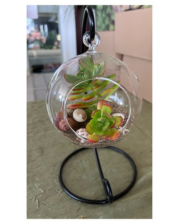 Hanging clear ball with  succulents Flower Arrangement