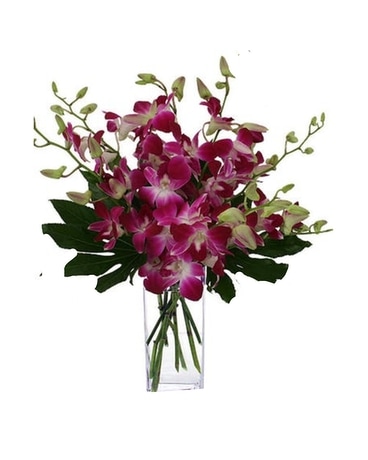 Classic Orchid Flower Arrangement