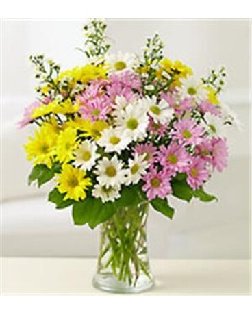 Delightful Daisy Flower Arrangement