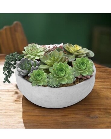 Faux orchid and succulents real to touch Flower Arrangement