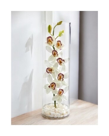 Red Roses inside Cylinder Flower Arrangement