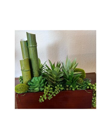 Magic Box of Succulent Dish Garden Plant