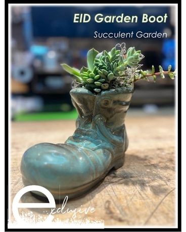 EID Garden Boot Succulents Plant