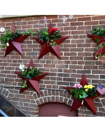 Red Star Wall Planter Plant