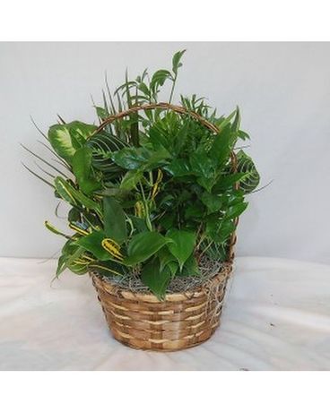 Dish Garden Flower Arrangement