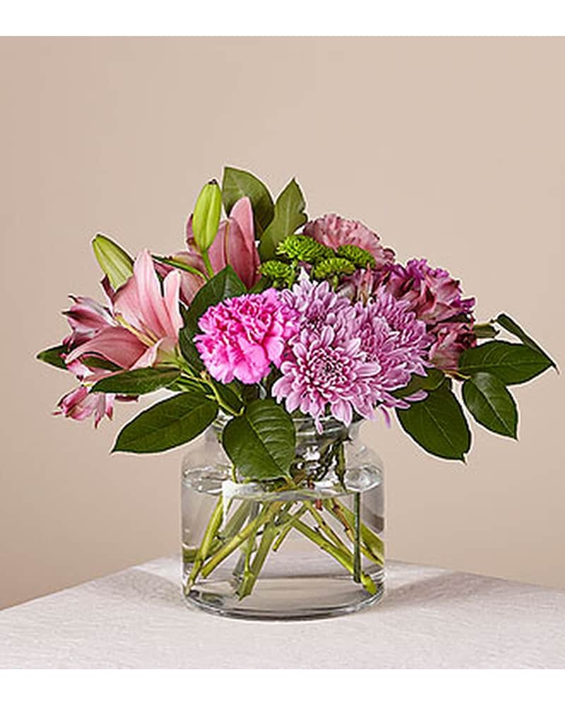 mamoco！BEAQUE MEDI CHOUPRO Mariposa Bouquet in Charlotte NC - Byrum's Florist, Inc.