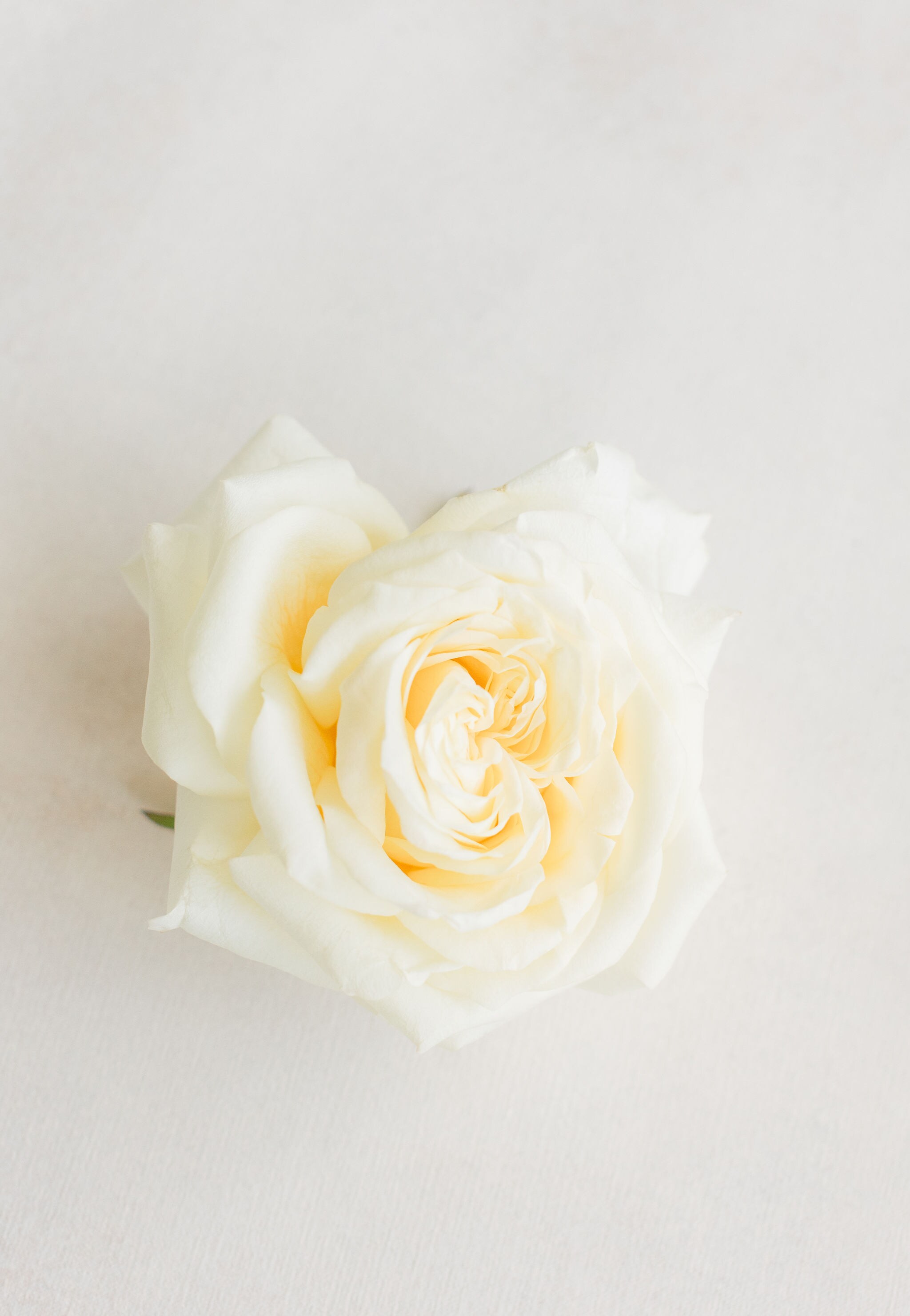 Vidalia Florist Flower Delivery by Flowers by Chloe