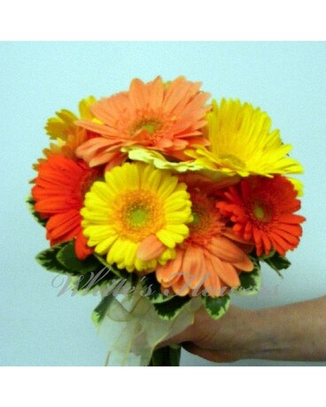 Summery Gerbera Bouquet Custom product