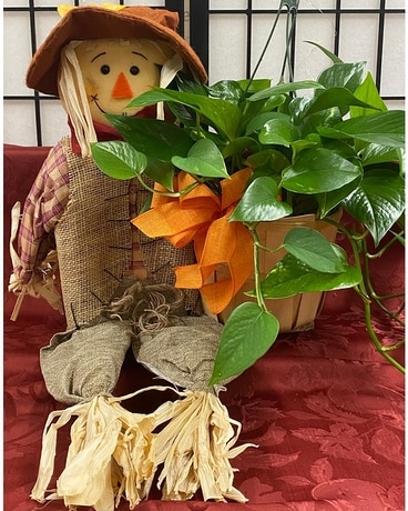 Scarecrow planter Flower Arrangement